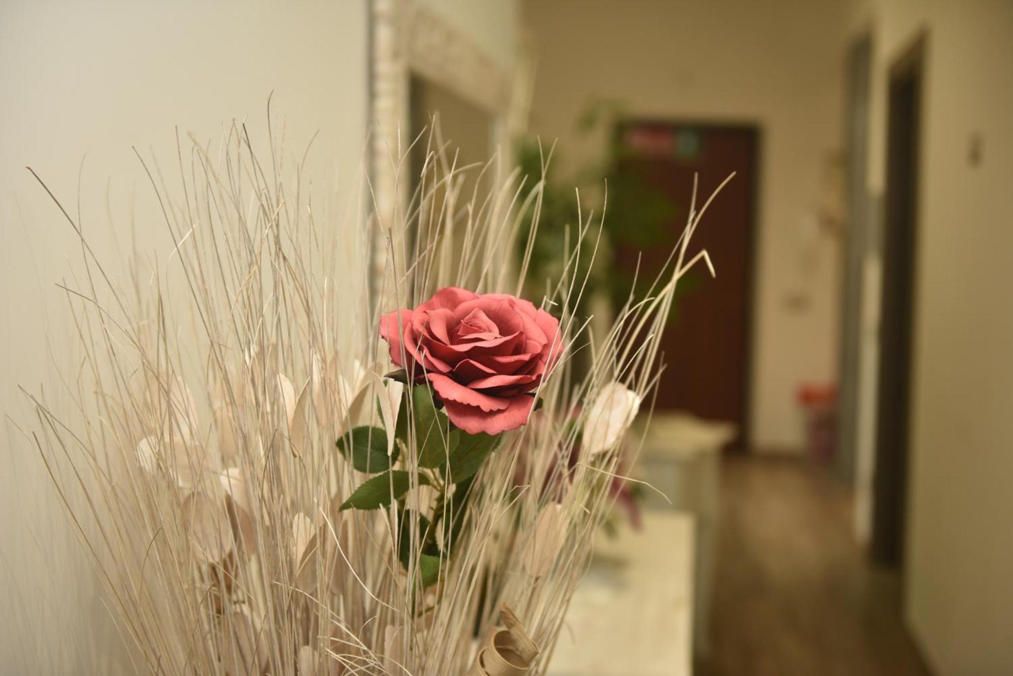 In Terrazza Da Giusy Bed & Breakfast โรม ภายนอก รูปภาพ